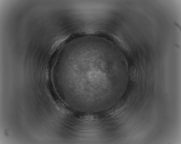 X0000091890740200709051343