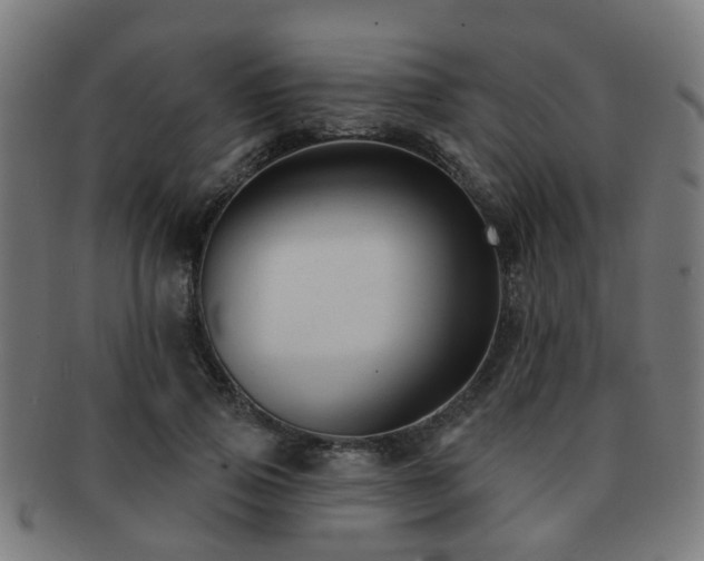 X0000091890741200709051343