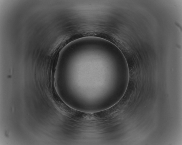 X0000091890742200709051343