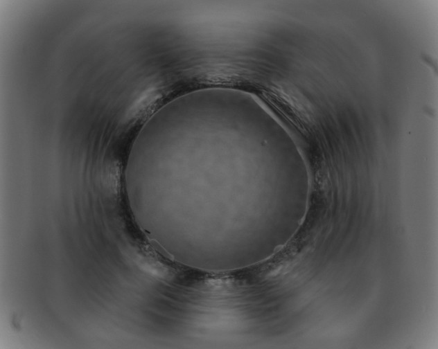 X0000091890744200709051343