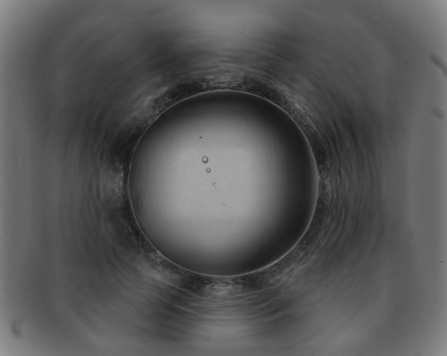 X0000091890745200709051343