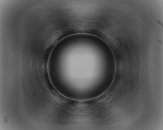 X0000091890746200709051343