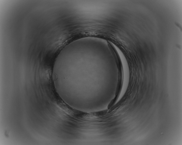 X0000091890747200709051343