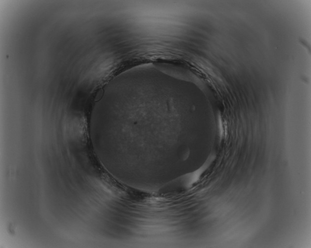 X0000091890748200709051343