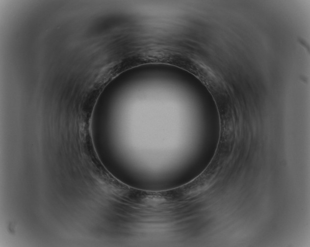 X0000091890749200709051343