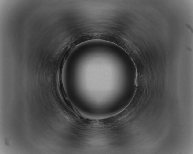 X0000091890750200709051343