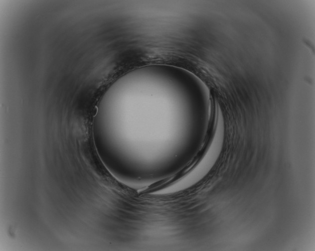 X0000091890751200709051343