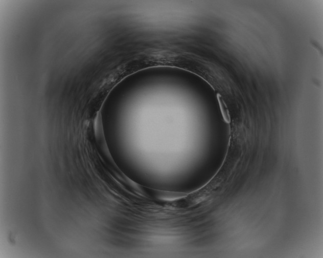 X0000091890752200709051343