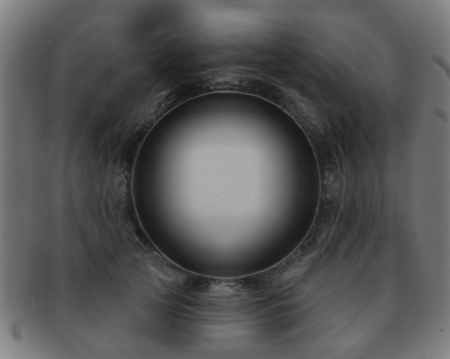 X0000091890753200709051343