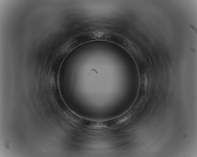 X0000091890754200709051343