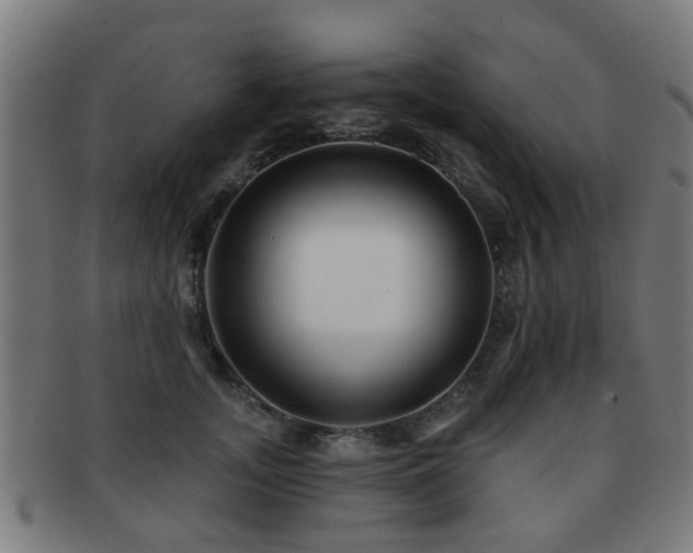 X0000091890755200709051343