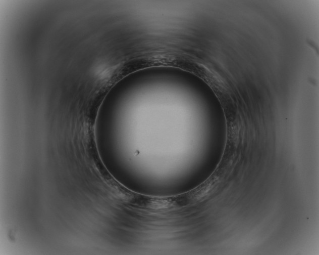 X0000091890757200709051343