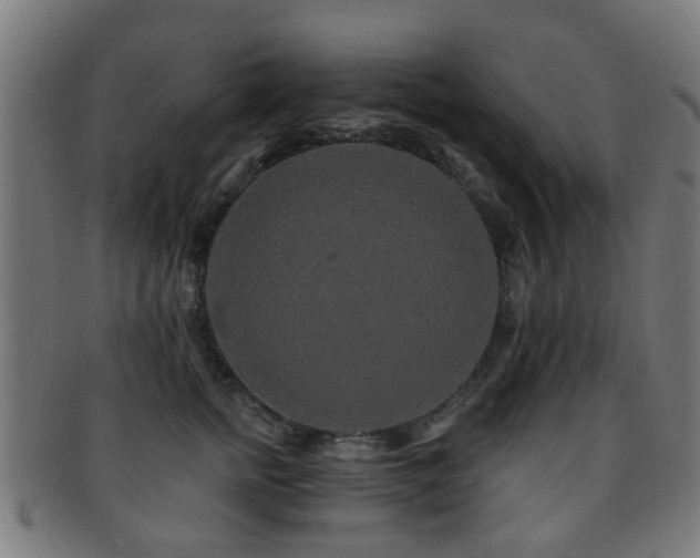 X0000091890758200709051343
