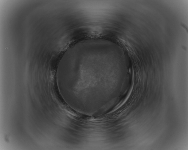 X0000091890759200709051343