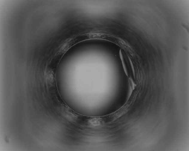 X0000091890761200709051343