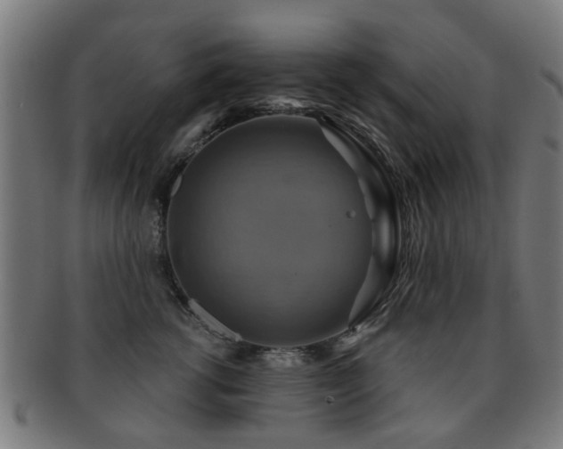 X0000091890762200709051343