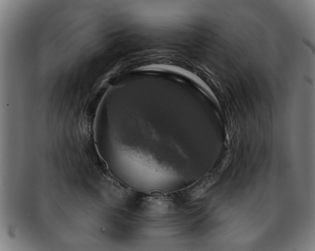 X0000091890763200709051343