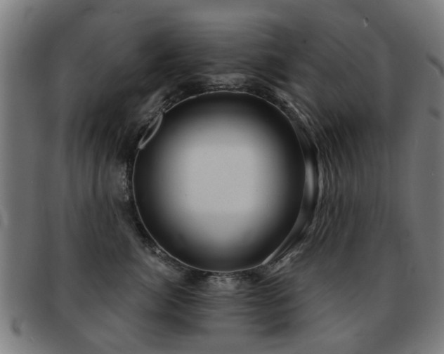 X0000091890764200709051343
