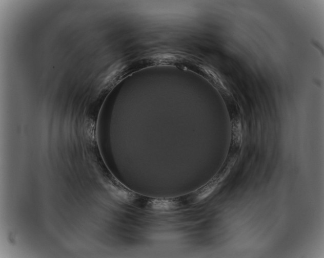 X0000091890766200709051343