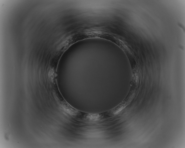 X0000091890767200709051343