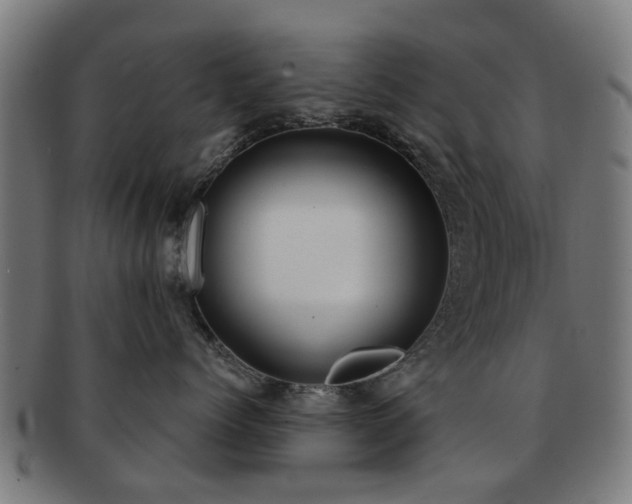 X0000091890768200709051343