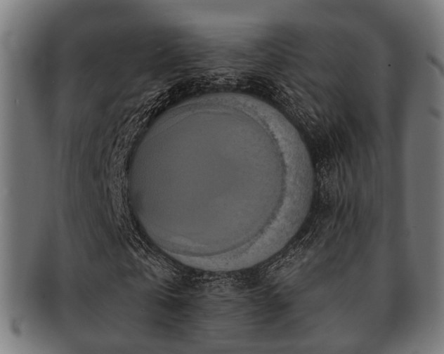 X0000091890769200709051343