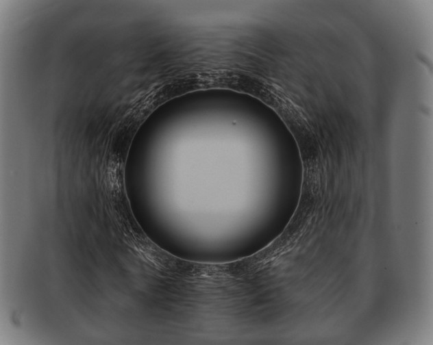 X0000091890770200709051343