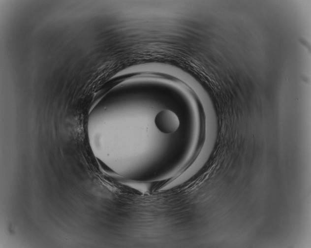 X0000091890771200709051343