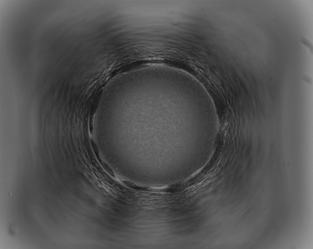 X0000091890772200709051343
