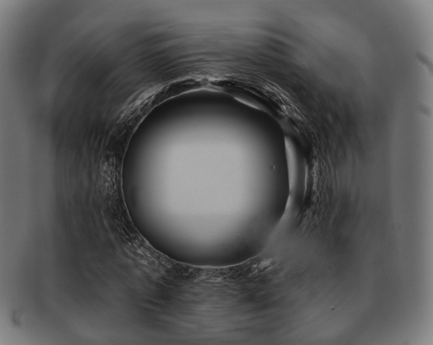 X0000091890773200709051343