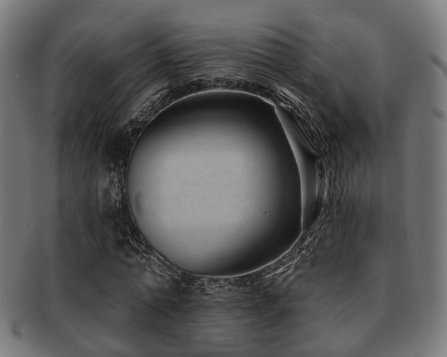 X0000091890774200709051342