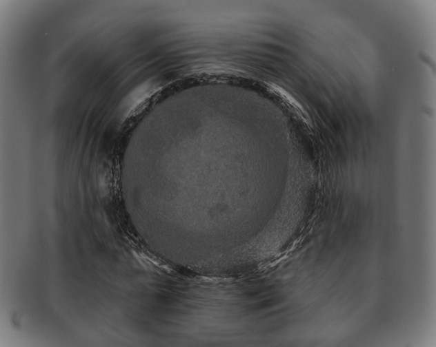 X0000091890775200709051342
