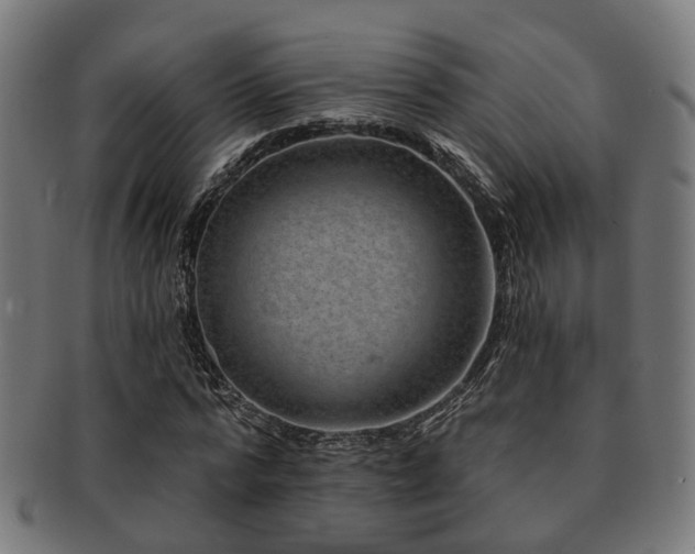 X0000091890776200709051342