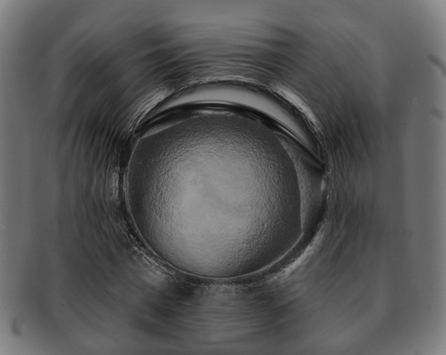 X0000091890777200709051342