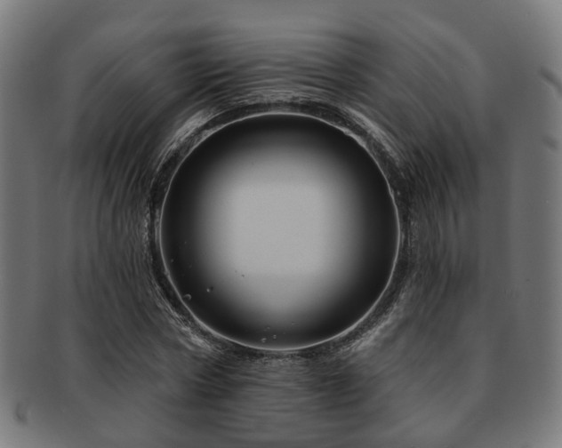 X0000091890778200709051342