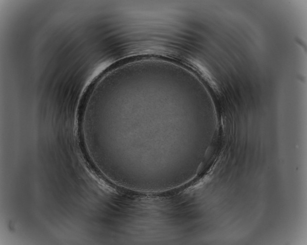 X0000091890780200709051342