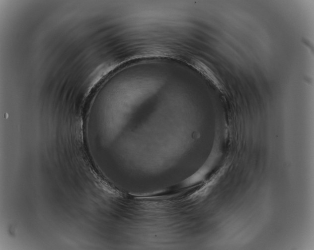 X0000091890781200709051342