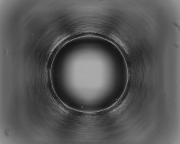 X0000091890782200709051342