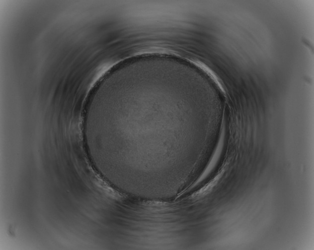 X0000091890783200709051342