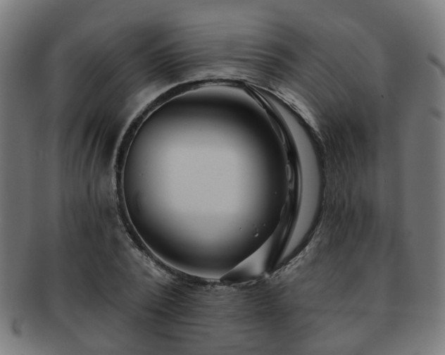 X0000091890784200709051342