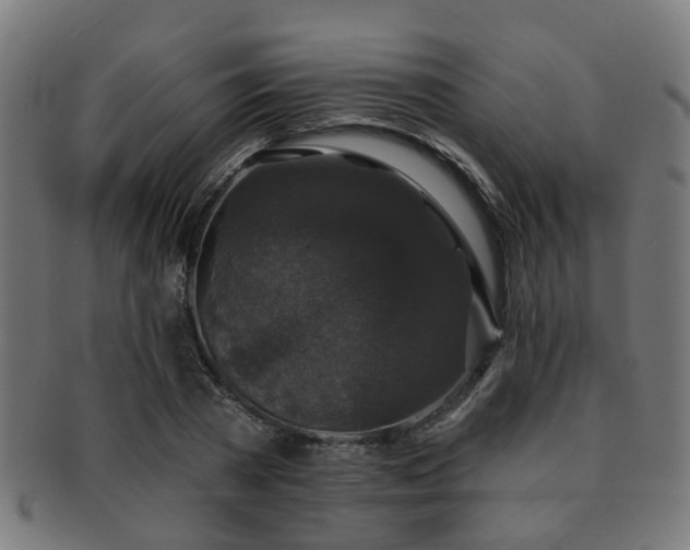 X0000091890785200709051342