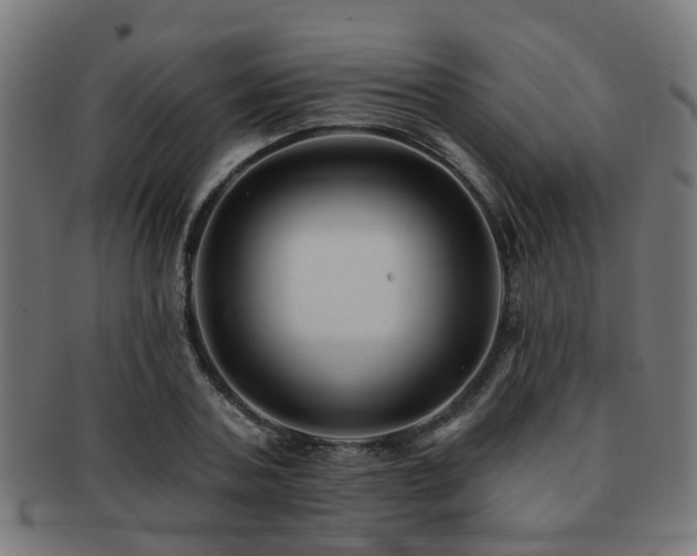 X0000091890787200709051342