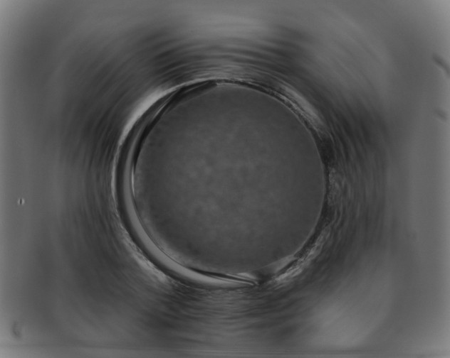 X0000091890788200709051342