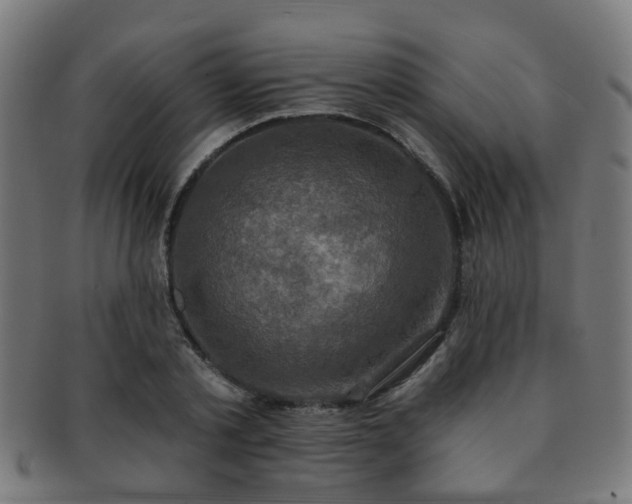 X0000091890789200709051342