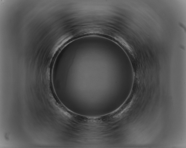 X0000091890790200709051342