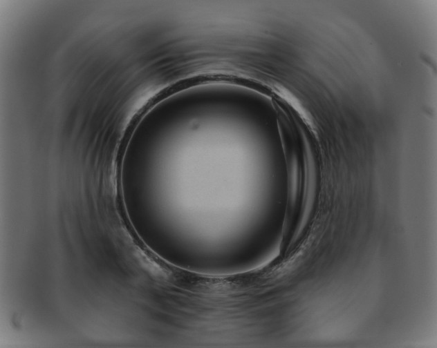 X0000091890791200709051342