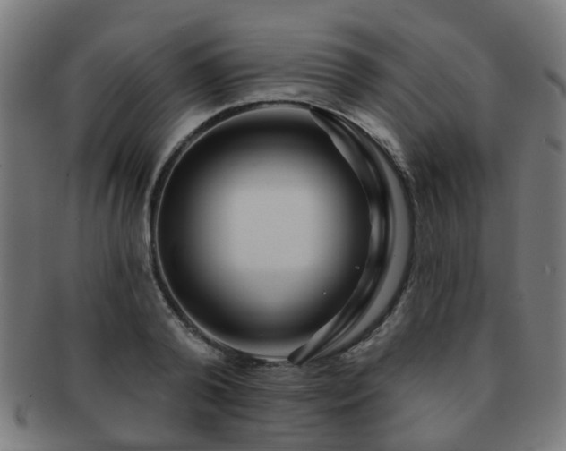 X0000091890792200709051342