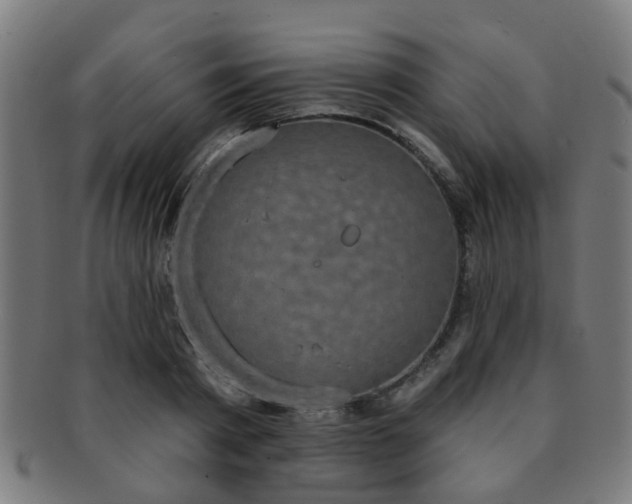 X0000091890793200709051342