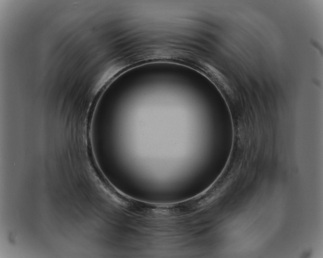 X0000091890794200709051342