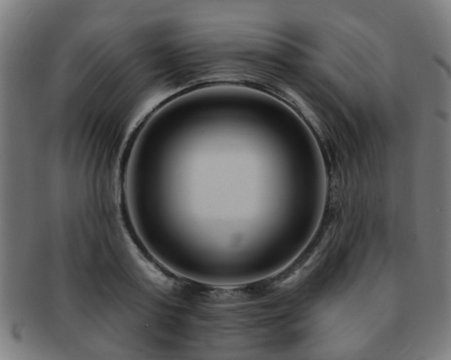 X0000091890795200709051342